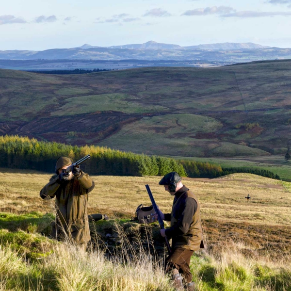 Grouse-Hunting Erhvervsfotografs billede af Grouse shooting i Skotland