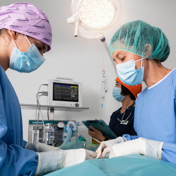 Vetenerian-operation Operation hos Hellerup Dyreklinik