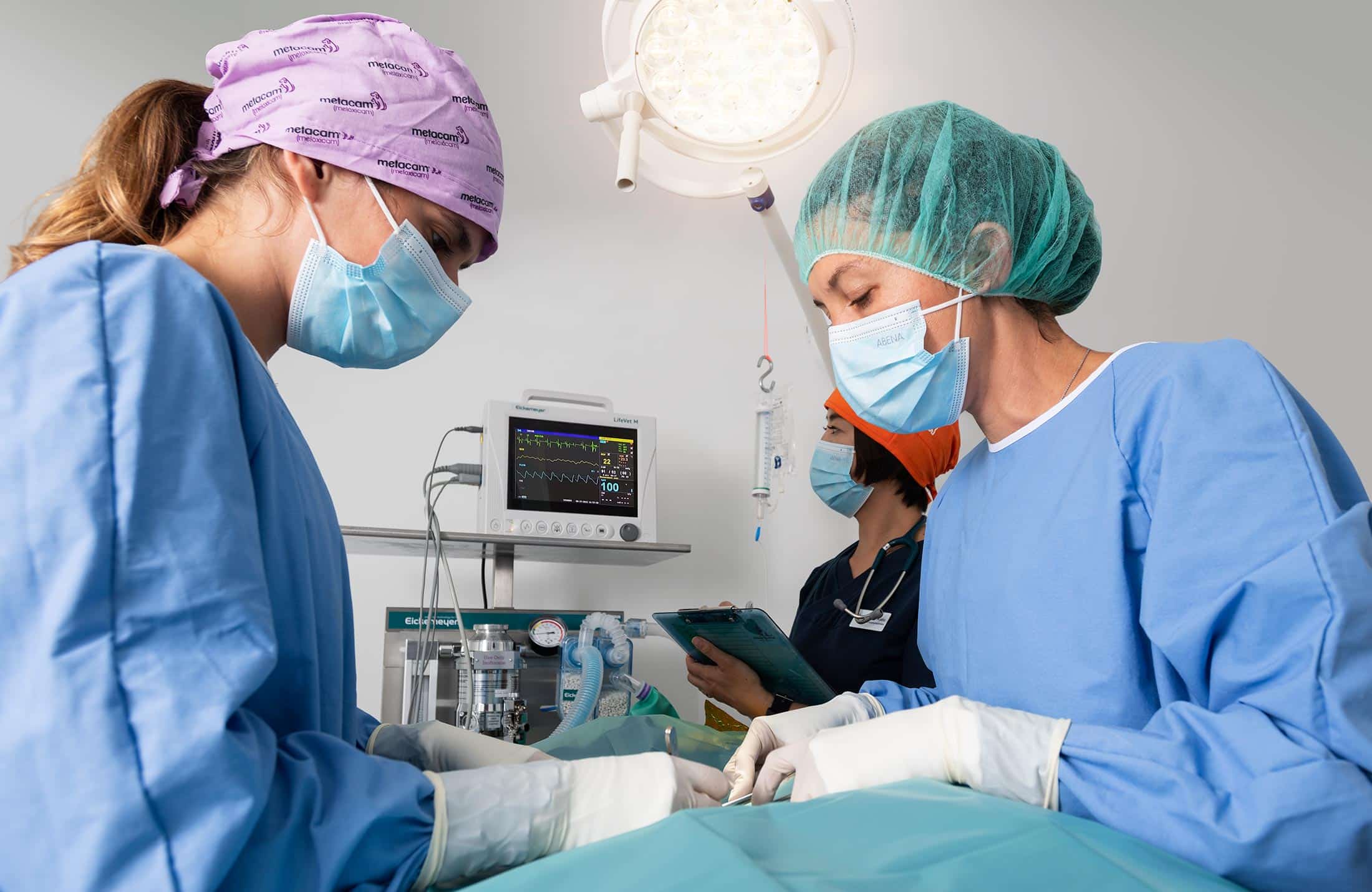 Dyrlæger på operationsstue