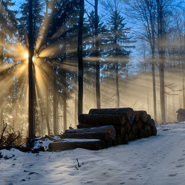 BerleburgSun