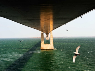 GreatBelt Droneoptagelser af måger under storebæltsbroen