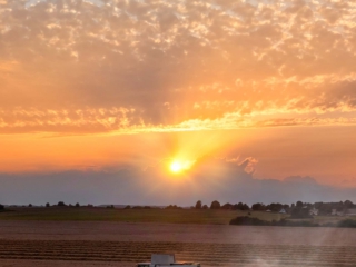 Harvest Droneoptagelse af Claas mejetærsker under høst