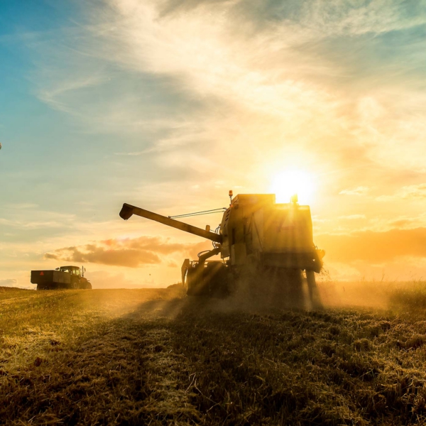 Harvest