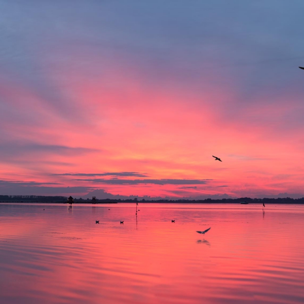 RedSunset