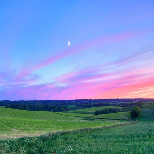 SummerColors