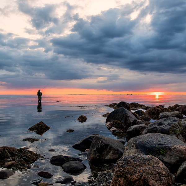 TheFisherman