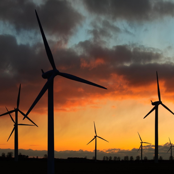 WindMillSunset