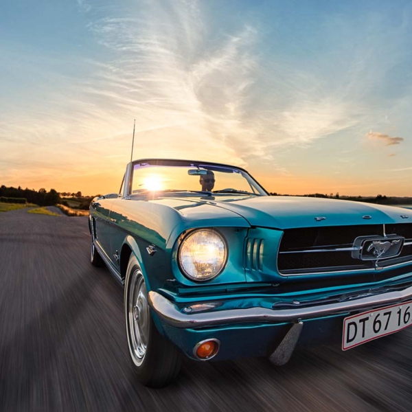 Mustang