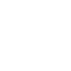 Instagram logo i hvid
